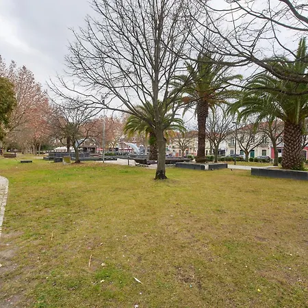 Beachside New With Ac, By Timecooler דירה שטובל